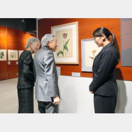 眞子さんの案内で、植物画の特別展を鑑賞される上皇ご夫妻（2017年）／（Ｃ）共同通信社