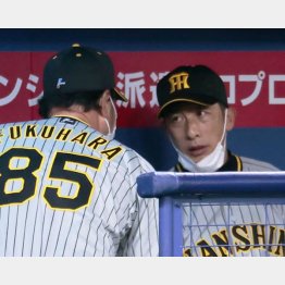 4回終了後、コーチ（左）と言葉を交わす阪神・矢野監督（Ｃ）共同通信社