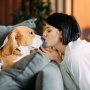 愛犬にキスするとスーパー耐性菌に感染する恐れが…ポルトガル・英調査のショック