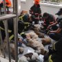 火災ビルから猫を救出！ 13匹の命を助けたシンガポール消防士に称賛の声