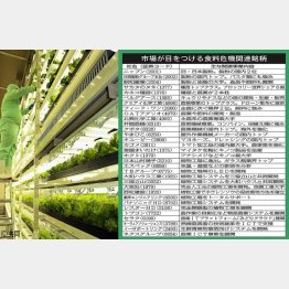 植物工場（左）に関わっている意外な企業の銘柄探しも面白い（Ｃ）日刊ゲンダイ