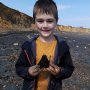 海岸で貝殻を探していたら…6歳の男の子が見つけた「史上最大のサメの歯」