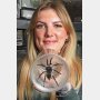 400匹のクモを飼う28歳の英国人女性「私にとってはポケモンのようなもの」