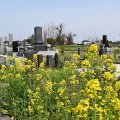 サブスクお墓にレンタル墓石…コロナで変わった「お墓」の在り方