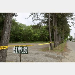 遺体が遺棄されたとみられる雑木林（Ｃ）日刊ゲンダイ