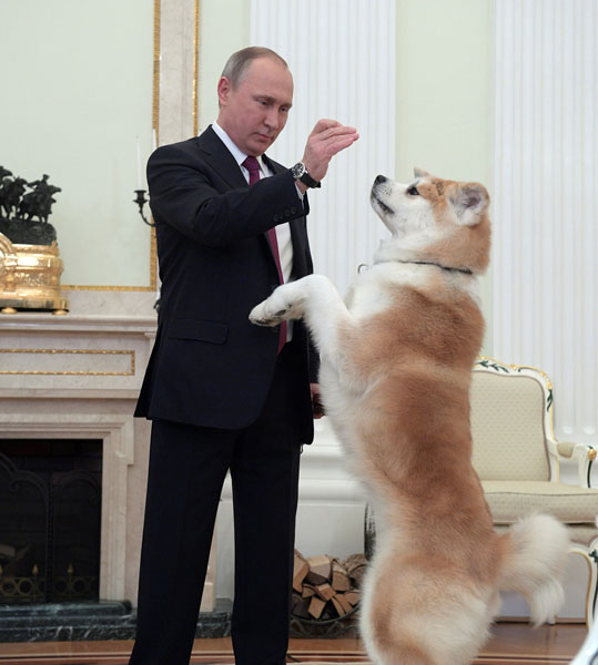 秋田犬「ゆめ」と遊ぶロシアのプーチン大統領（Ｃ）ロイター