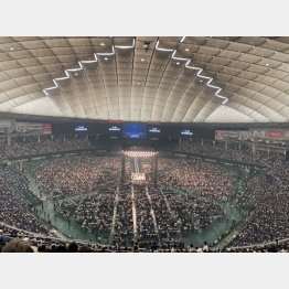 5万6000人を超える格闘技ファンで埋め尽くされる東京ドーム