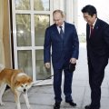 プーチン大統領もホンネは迷惑？ 犬の“プレゼント攻め”でやむにやまれず「多頭飼い」