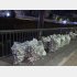 ホームレスが集めた空き缶が持ち去られることも…（Ｃ）日刊ゲンダイ