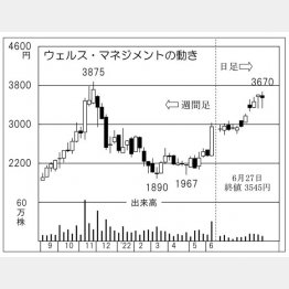 「ウェルス・マネジメント」の株価チャート（Ｃ）日刊ゲンダイ