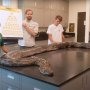 フロリダ州史上最大！ 捕獲された体重97キロのニシキヘビが最後に食べていたのは…