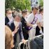 「優勢」と報じられているが…（有権者に声を掛ける岸田首相＝左）／（Ｃ）日刊ゲンダイ