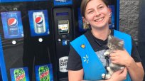 米消防隊員が子猫をペプシの自販機の中から救出…付いた名前は当然「ペプシ」？