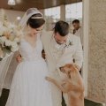 ブラジル人カップルの結婚式に闖入した野良犬が“家族”になった物語