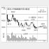 岡本工作機械製作所の株価チャート（Ｃ）日刊ゲンダイ