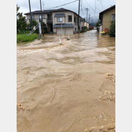 大雨の影響で冠水した新潟県村上市内（住民提供）