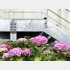 月1の庭掃除で交流（写真はイメージ）／（Ｃ）日刊ゲンダイ