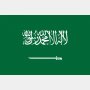 近代サウジアラビアの礎を築いた「王族ビッグダディ」の巨大な影響力