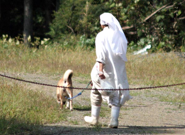 犬は白装束ではなかった（撮影）藤倉善郎
