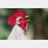 写真はイメージ（Ｃ）Sunshower Shots／iStock