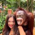 女性の胸を触って頬にキス…タイのオランウータンは女たらし？ 
