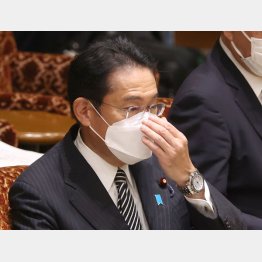 岸田首相は国葬を強行（Ｃ）日刊ゲンダイ