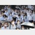 確かに見分けづらい（Ｃ）日刊ゲンダイ