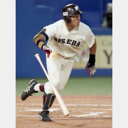 東京六大学リーグで現役最多の12本塁打を放っている早大・蛭間（Ｃ）日刊ゲンダイ