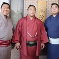 若隆元、若元春、若隆景「大波3兄弟」は三者三様 “相撲の素質”が一番あるのは…？