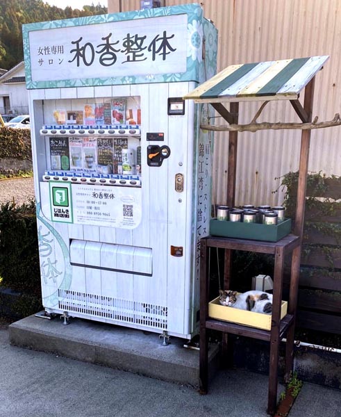 招き猫も鎮座する名物自販機に（提供写真）