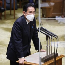 岸田首相は実態把握に努める考えを示した（Ｃ）日刊ゲンダイ