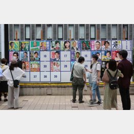 2022参院選東京選挙区のポスター掲示板（Ｃ）日刊ゲンダイ