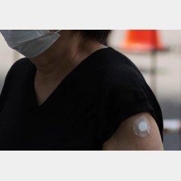 ワクチン接種が原因…（写真はイメージ）／（Ｃ）日刊ゲンダイ