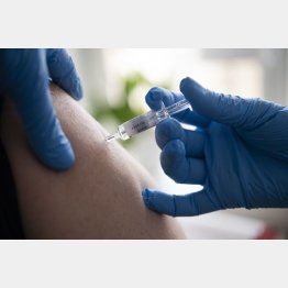 世界は、日本とは違い、インフルワクチンは筋肉注射（Ｃ）Fredrik Sandberg／共同通信イメージズ