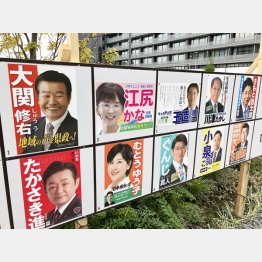 茨城県議選、候補者乱立だが…（Ｃ）日刊ゲンダイ