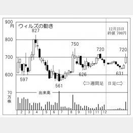 ウィルズの株価チャート（Ｃ）日刊ゲンダイ