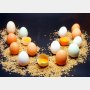 「物価の優等生」卵もついに3割超値上げの衝撃！ 鳥インフルと飼料高騰のWパンチ