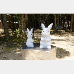 出雲大社にある「ウサギの石像」／（Ｃ）日刊ゲンダイ
