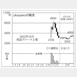 pluszeroの株価チャート（Ｃ）日刊ゲンダイ