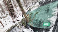 左ハンドルで間一髪！ 米北東部の暴風雪で折れた木の枝が助手席を直撃