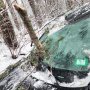 左ハンドルで間一髪！ 米北東部の暴風雪で折れた木の枝が助手席を直撃