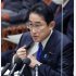 長期的ビジョンも理念も感じられない（岸田首相）／（Ｃ）日刊ゲンダイ