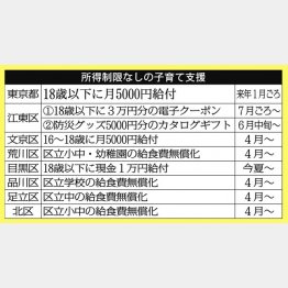 所得制限なしの子育て支援（Ｃ）日刊ゲンダイ