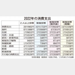2022年の消費支出（Ｃ）日刊ゲンダイ