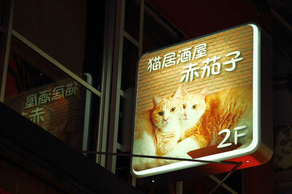 4匹の猫が迎えてくれる猫居酒屋「赤茄子」（Ｃ）日刊ゲンダイ