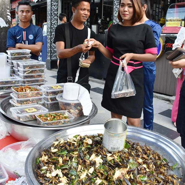 東南アジアではコオロギ食は人気だが（ミャンマー）／（Ｃ）共同通信社