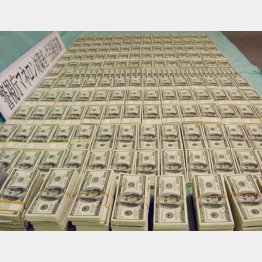 五菱会ヤミ金組織の貸金庫にあった大量の米ドル札（Ｃ）共同通信社