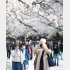 以前の盛況が戻ってくる（写真はイメージ）／（Ｃ）日刊ゲンダイ