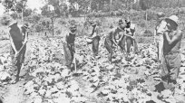 「時運の赴く所」は政治家による軍部批判だった