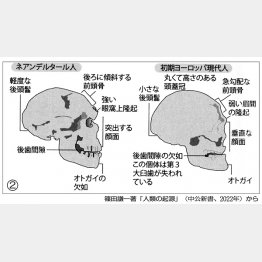 図②（Ｃ）日刊ゲンダイ